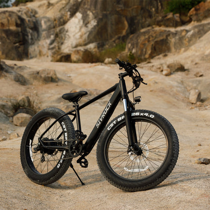 Electric Mountain Bike