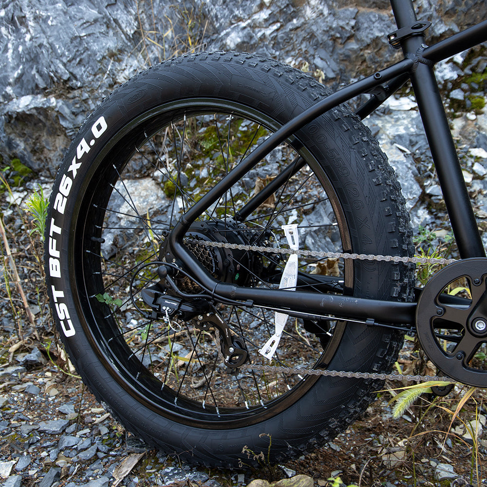 Electric Mountain Bike