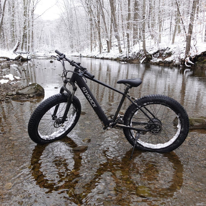 Electric Mountain Bike